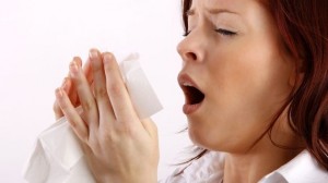Alergia