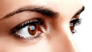 cejas