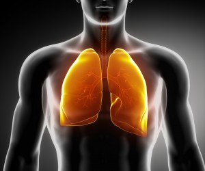 pulmones