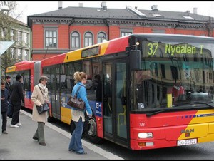 Autobus