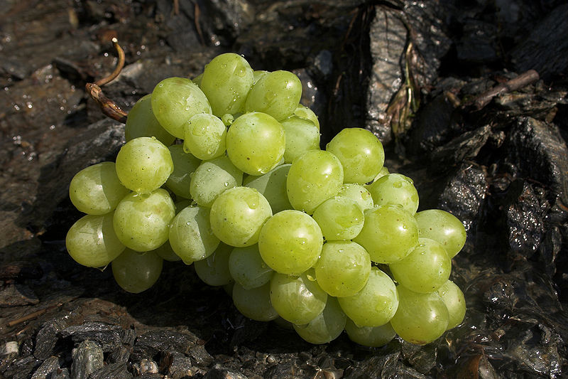 Beneficios de las uvas