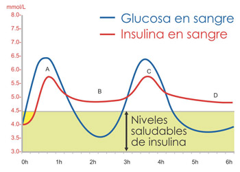 Insulina y grasas