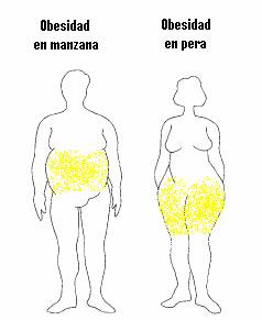 ¿Dónde se acumula la grasa?
