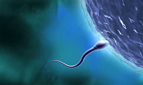 Cómo mejorar la calidad del esperma de forma natural