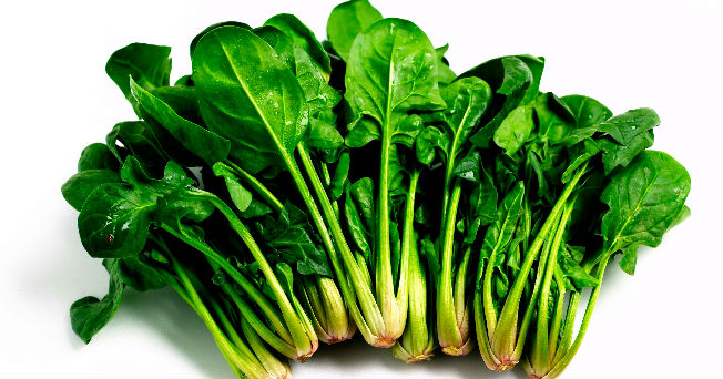 Las espinacas: Un alimento obligatorio en la dieta cotidiana