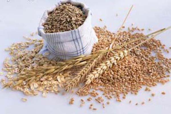 Cinco alimentos para bajar el colesterol