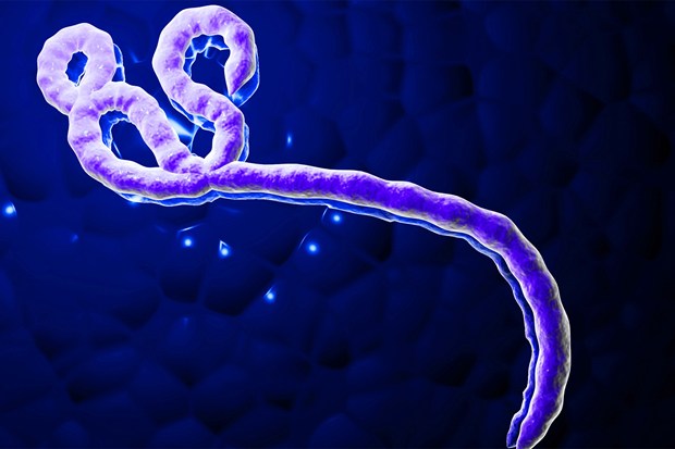 Ébola: ¿Qué es y cómo se transmite?