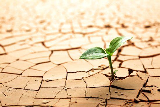 ¿Cómo fomentar la resiliencia?