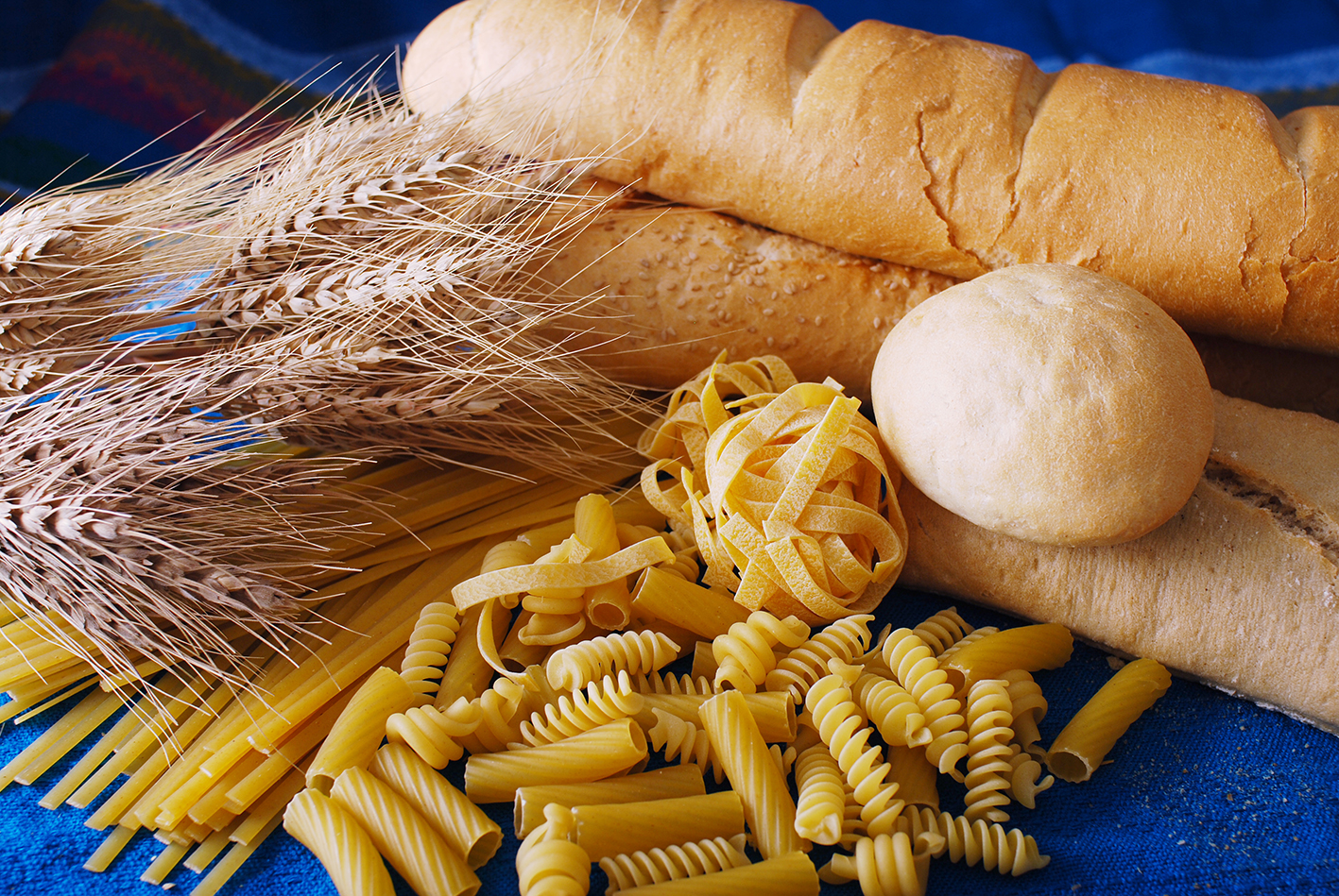 El trigo: ¿Beneficioso o venenoso?