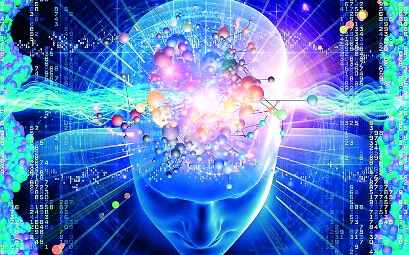 ¿Dieta cetogénica para tratar la epilepsia?