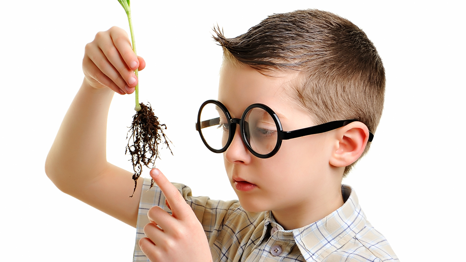 ¿La fertilidad afecta la inteligencia de los niños?