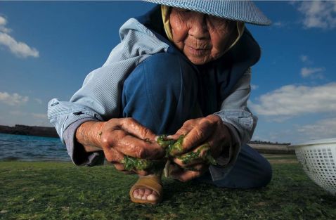 Una dieta baja en calorías añade años de vida