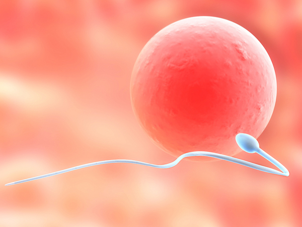5 errores comunes que afectan la fertilidad