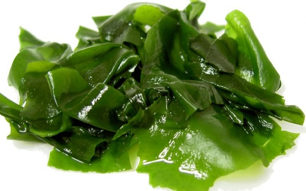 5 increíbles beneficios de la espirulina para tu salud