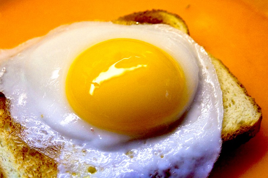 El colesterol de los huevos: ¿Motivo de preocupación?
