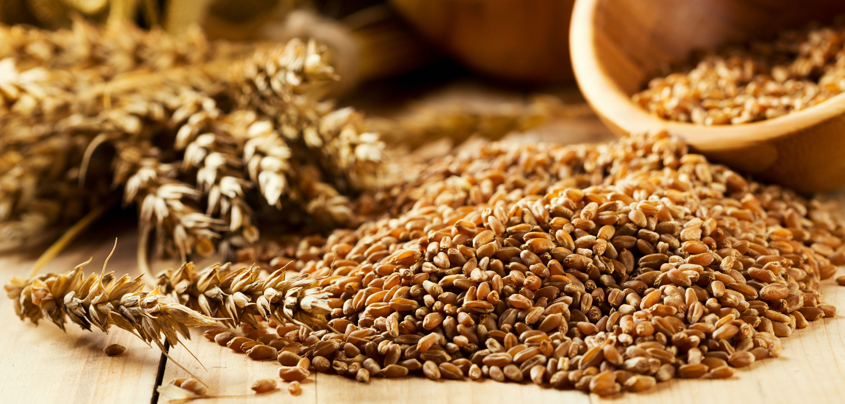 Los granos en la dieta: ¿Son buenos o malos?