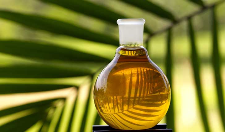 El aceite de palma: ¡Cuidado con su consumo!