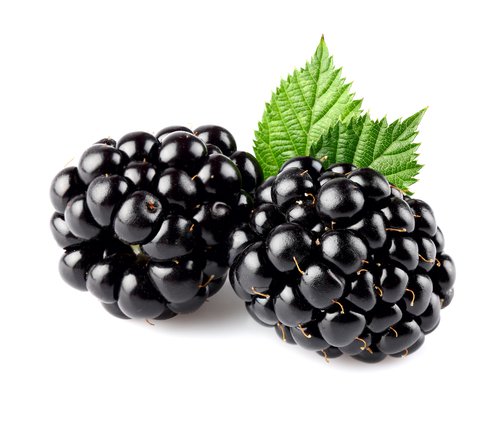 ¿Por qué incluir las moras en la dieta cotidiana?