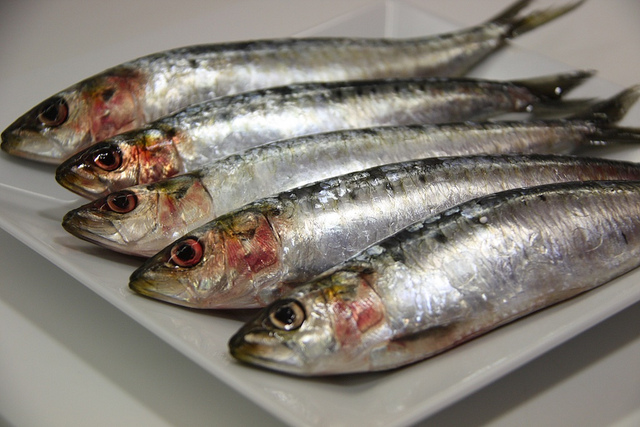 Los cinco pescados y mariscos con más ácidos grasos Omega-3