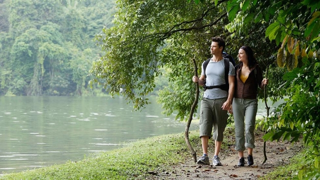 ¿Qué beneficios obtienes al disfrutar de la naturaleza?