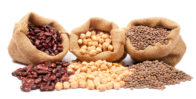 ¿Por qué deberías incluir el zinc en tu dieta cotidiana?